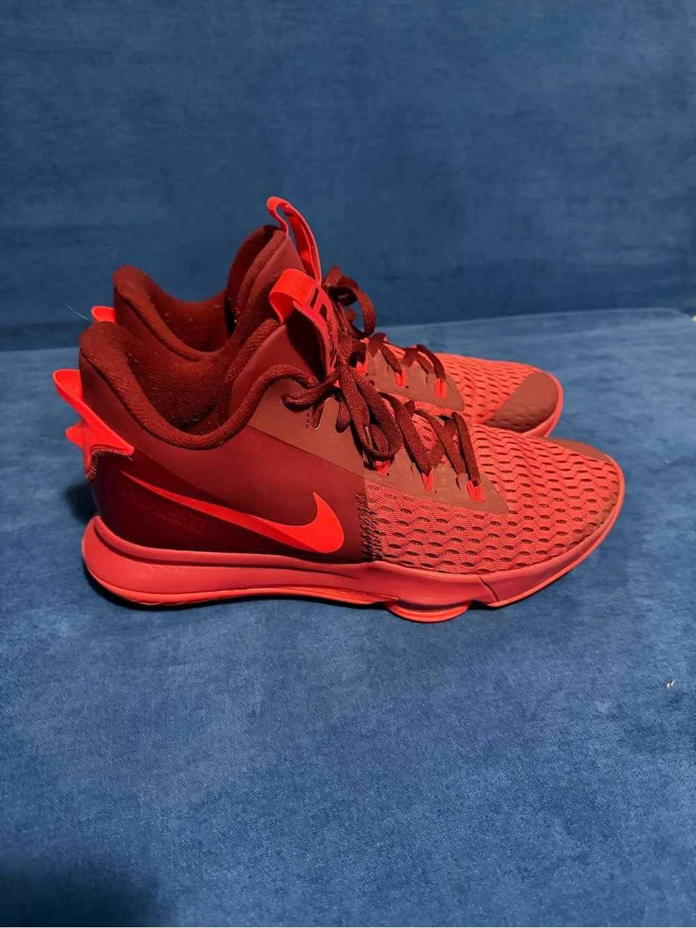 Nike LeBron James shoes